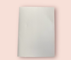 BÌA FILE E300 (CÁI)