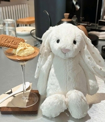 2618 - JellyCat Bashful Bunny Twinkle 31cm [HÀNG CHÍNH HÃNG]