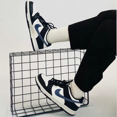283 -  Giày Nike GS Dunk Low Next Nature "TPU Swoosh" - Code FD0689-001 [HÀNG CHÍNH HÃNG]