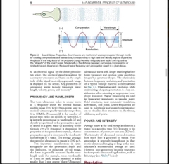 Sách ngoại văn Point of Care Ultrasound2nd Edition