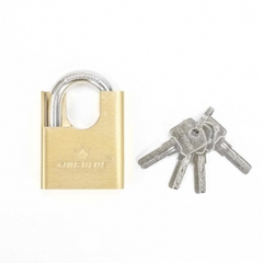 Ổ Khóa Chống Cắt KYZ60