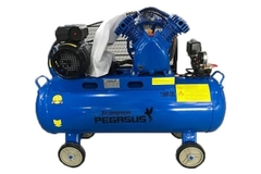 Máy Nén Khí Dây Đai Pegasus TM-V-0.12/8-70L