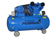 Máy Nén Khí Dây Đai Pegasus TM-V-1.05/12.5-500L