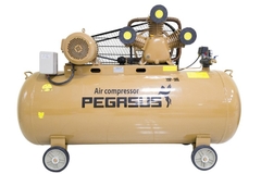 Máy Nén Khí Dây Đai Pegasus TM-W-0.9/8-500L