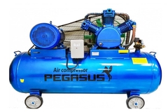 Máy Nén Khí Dây Đai Pegasus TM-W-1.6/12.5-330L