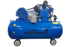Máy Nén Khí Dây Đai Pegasus TM-W-1.6/12.5-500L