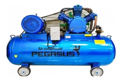 Máy Nén Khí Dây Đai Pegasus TM-W-2.0/12.5-330L