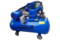 Máy Nén Khí Dây Đai Pegasus TM-W-2.0/8-500L