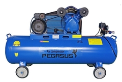 Máy Nén Khí Dây Đai Pegasus TM-V-0.17/8-120L