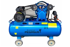 Máy Nén Khí Dây Đai Pegasus TM-V-0.17/8-70L