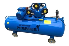 Máy Nén Khí Dây Đai Pegasus TM-W-0.36/8-330L