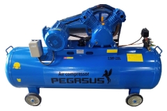 Máy Nén Khí Dây Đai Pegasus TM-V-0.6/8-330L