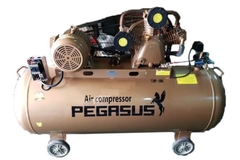 Máy Nén Khí Dây Đai Pegasus TM-W-0.67/12.5-500L