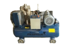 Máy nén khí trục vít Pegasus TMTV-10A