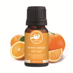 Tinh dầu cam ngọt 10ml