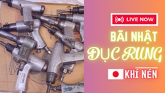 Súng đục rung bãi nhật