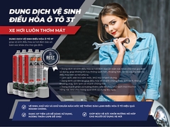 Chai vệ sinh điều hòa (máy lạnh) ô tô 3T