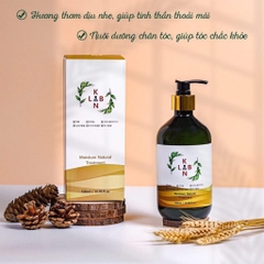 B01-Cặp dầu gội trị liệu, trị gàu và chống rụng tóc KangnamLab - Kn.Lab 500ml + 500ml (25ea)
