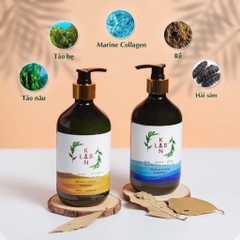 B01-Cặp dầu gội trị liệu, trị gàu và chống rụng tóc KangnamLab - Kn.Lab 500ml + 500ml (25ea)