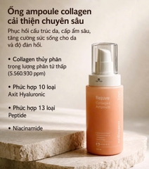 Tinh Chất Collagen Dưỡng Ẩm Và Hỗ Trợ Săn Chắc Da MERIKIT Rejuve Collagen Ampoule 120ml