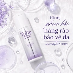Sữa Rửa Mặt Bột Enzyme PDRN Hàn Quốc Làm Sạch Sâu, Tẩy Tế Bào Chết Dịu Nhẹ APOTHE TulipRx™ PDRN Powder Cleanser 70g 