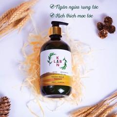 B01-Cặp dầu gội trị liệu, trị gàu và chống rụng tóc KangnamLab - Kn.Lab 500ml + 500ml (25ea)