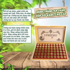 B02 - Viên hoàn đông trùng hạ thảo điều hoà huyết áp hộp vàng 60 viên (10ea)