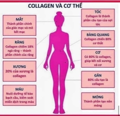 B01- Nước uống bổ xung Collagen LG 105kw (12ea)