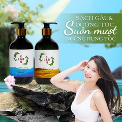 B01-Cặp dầu gội trị liệu, trị gàu và chống rụng tóc KangnamLab - Kn.Lab 500ml + 500ml (25ea)