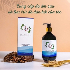 B01-Cặp dầu gội trị liệu, trị gàu và chống rụng tóc KangnamLab - Kn.Lab 500ml + 500ml (25ea)