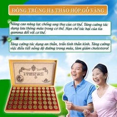 B02 - Viên hoàn đông trùng hạ thảo điều hoà huyết áp hộp vàng 60 viên (10ea)