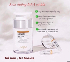 Set kem vs tế bào gốc cá hồi phục hồi da (32ea)