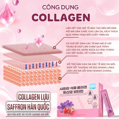 Bột collagen hoa nhuỵ tây 30 gói 2g(90ea)