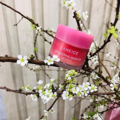 Ủ môi LANEIGE mẫu mới 20g (96ea)
