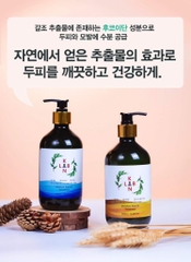 B01-Cặp dầu gội trị liệu, trị gàu và chống rụng tóc KangnamLab - Kn.Lab 500ml + 500ml (25ea)