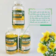 B01-Tinh dầu hoa anh thảo Ever Evening 365 viên (24ea)
