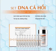 Set kem vs tế bào gốc cá hồi phục hồi da (32ea)