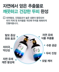 B01-Cặp dầu gội trị liệu, trị gàu và chống rụng tóc KangnamLab - Kn.Lab 500ml + 500ml (25ea)