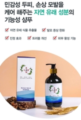 B01-Cặp dầu gội trị liệu, trị gàu và chống rụng tóc KangnamLab - Kn.Lab 500ml + 500ml (25ea)