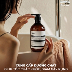 Dầu gội men bia ngăn rụng tóc MIDIL Revitalizing Beer Yeast Shampoo 1015g