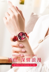 Đồng Hồ Nữ ABORNI YBN-6003 ( 1 MÀU )