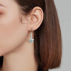 Bông Tai Cao Cấp Thương Hiệu ESME D1011