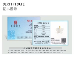 Dây Chuyền Cao Cấp Thương Hiệu ESME D1040