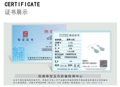 Bông Tai Cao Cấp Thương Hiệu ESME D1020