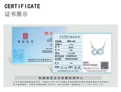 Dây Chuyền Cao Cấp Thương Hiệu ESME D874