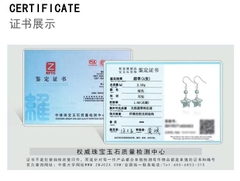 Bông Tai Cao Cấp Thương Hiệu ESME D1011