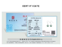 Bông Tai Cao Cấp Thương Hiệu ESME D049