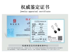 Bông tai Cao Cấp Thương Hiệu ESME ES316AS-D294