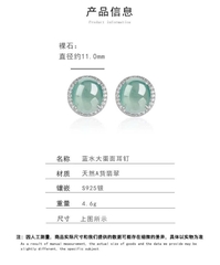 Bông tai Cao Cấp Thương Hiệu ESME ES318AS-D597