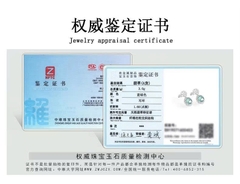 Bông tai Cao Cấp Thương Hiệu ESME ES319AS-D640